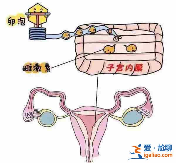 合肥代生機構-45歲還可以嗎？？