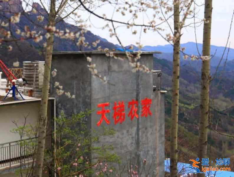 新鄉(xiāng)萬仙山景區(qū)住宿推薦，萬仙山住宿攻略？