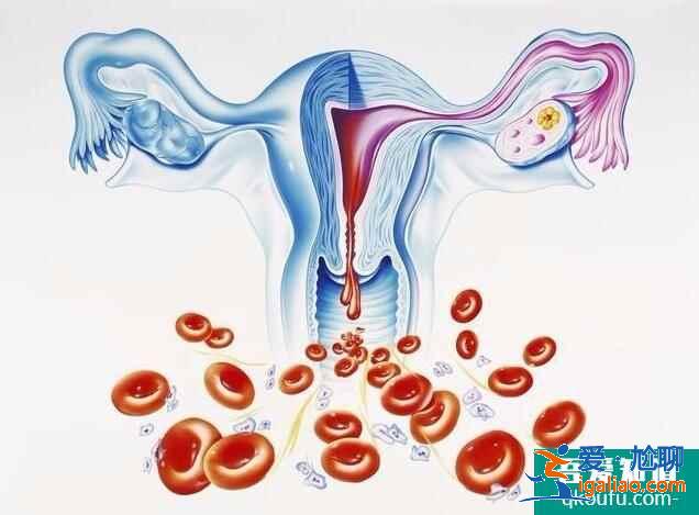 月經不調能做試管嬰兒嗎？應該怎么調理？？