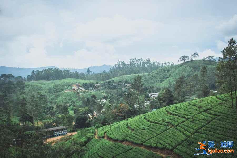 國外哪些地方適合畢業旅行，畢業旅行國外最佳去處，國外畢業旅行目的地推薦？