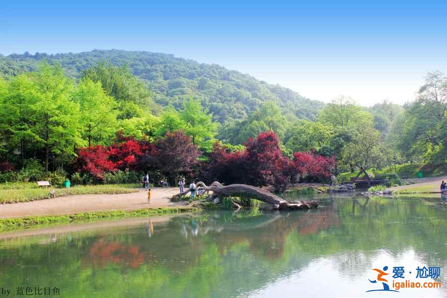 太子灣公園要不要門票？太子灣公園是免費的嗎？？