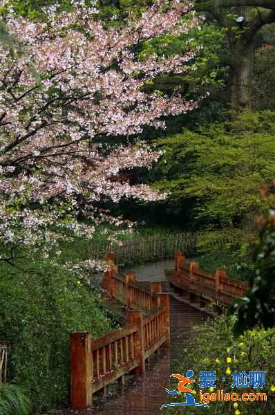 太子灣公園幾月份去好？太子灣公園最佳旅游時間是什么時候？？