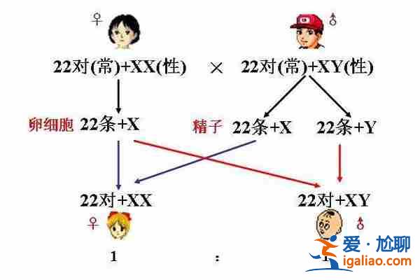 看一下天津代生懷孕公司【10天圓夢】？