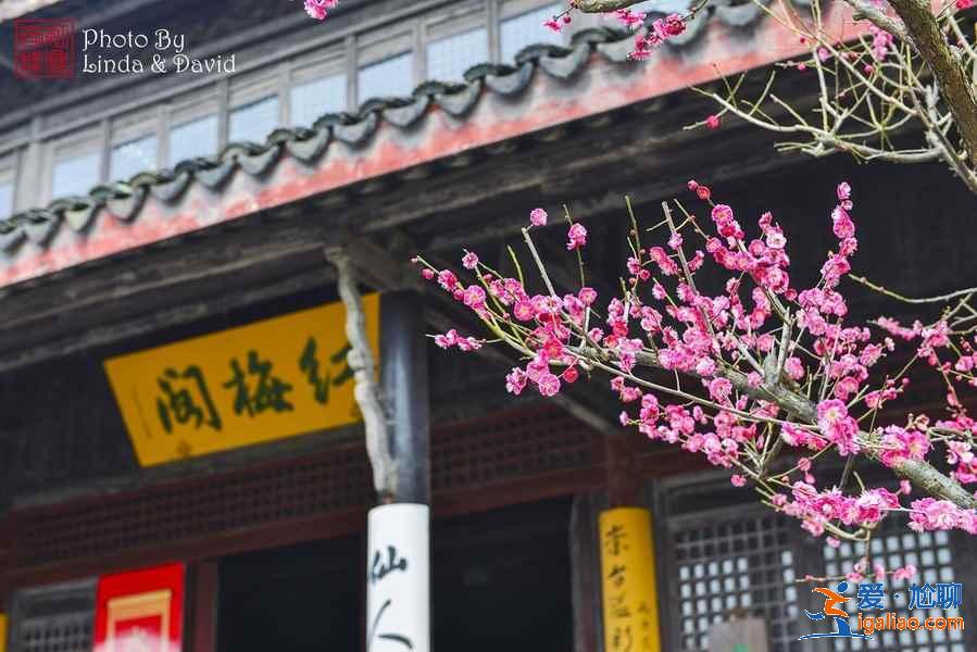 常州有什么好玩的地方，2019常州必去的十個景點？