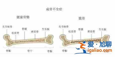 助孕公司價格-記錄孕期的點點滴滴？