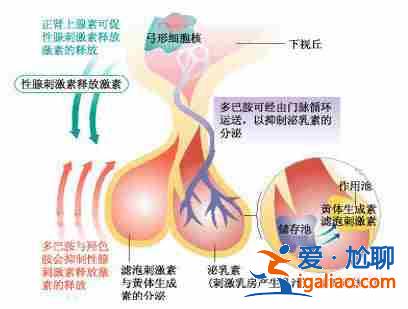 呼和浩特代生中心（權威醫療合作）？