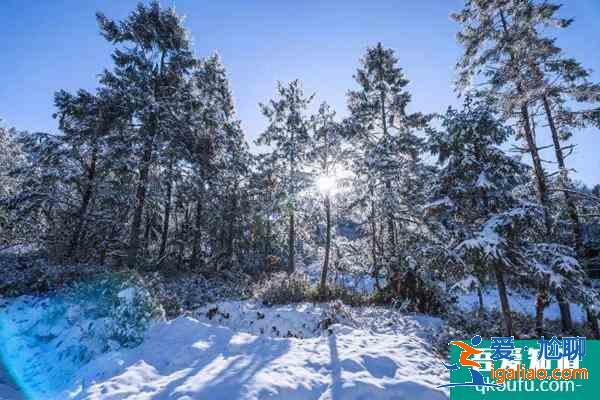 成都耍雪有哪些地方 成都周邊雪山有哪些？