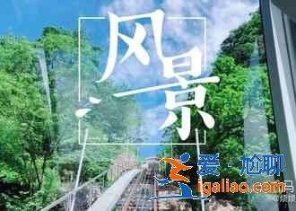 黃山攝影攻略：云海、日出、日落黃金拍攝點？