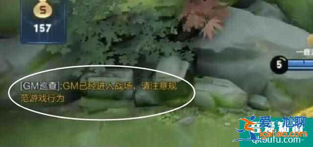 王者榮耀gm巡查是什么意思？王者榮耀gm怎么當？？