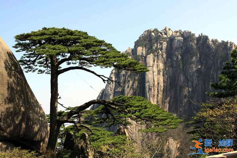 黃山最佳旅行時間，幾月份去黃山最合適，什么時候去黃山好？