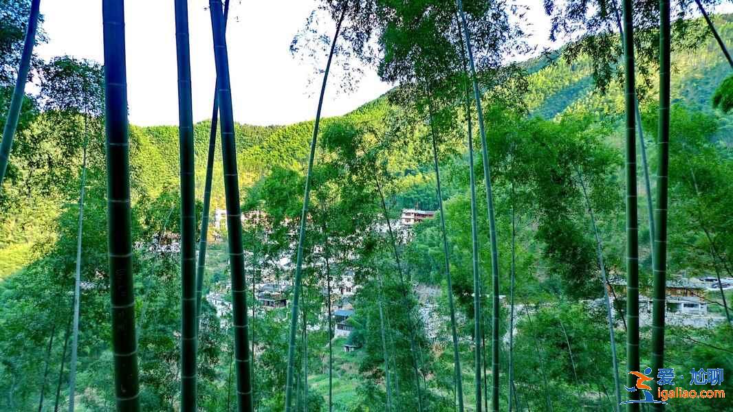 黃山最佳旅行時間，幾月份去黃山最合適，什么時候去黃山好？