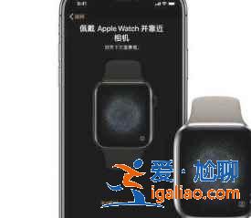 applewatch S7與手機怎么連接？