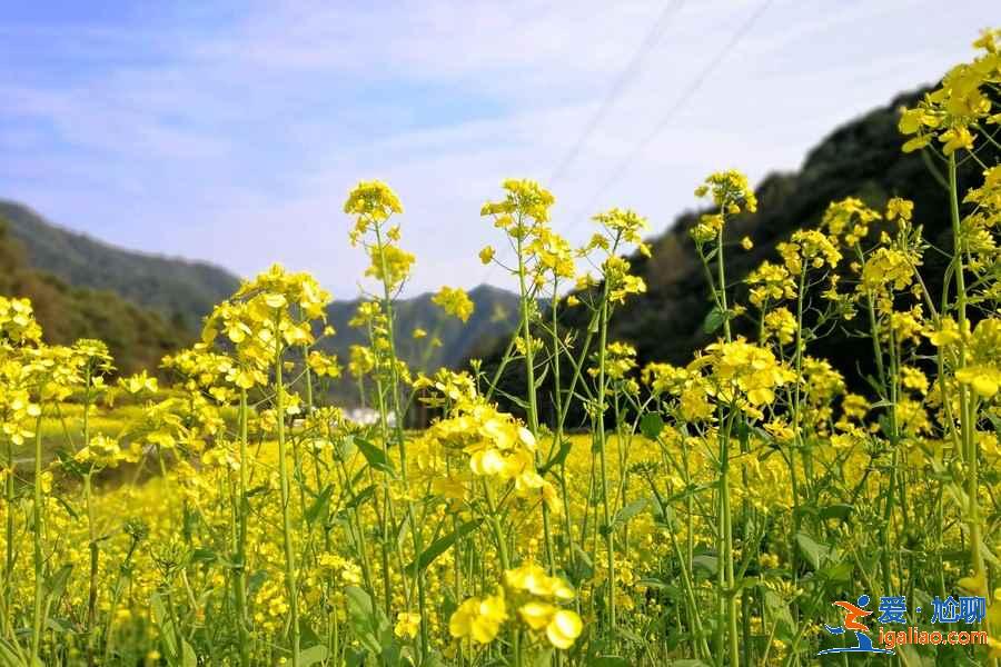 江西三日游怎么玩，江西三日游路線？