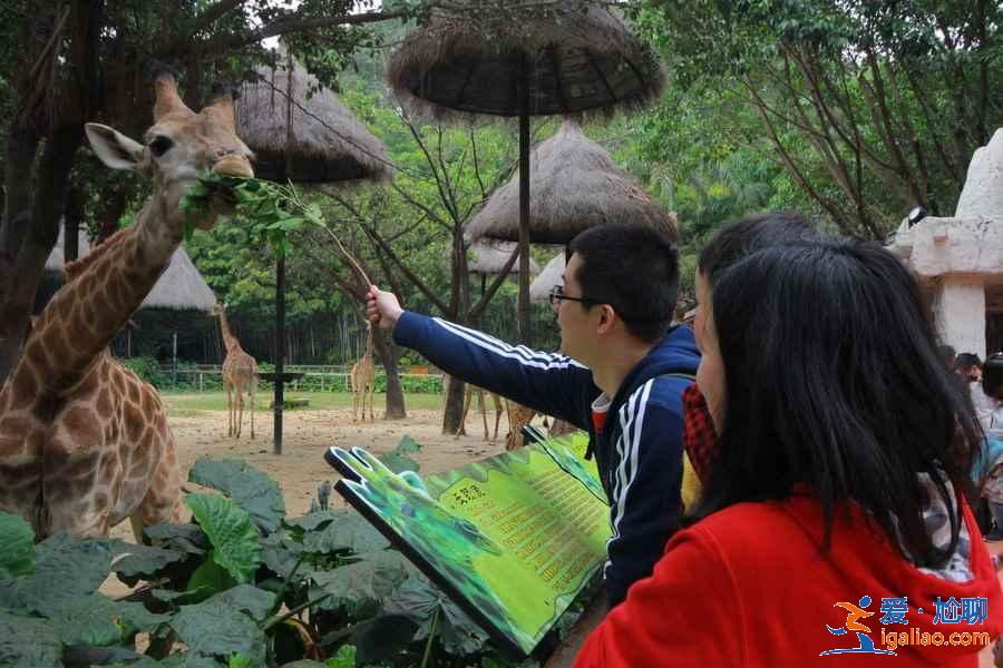 出發廣州長隆旅游度假區前需要注意什么，廣州長隆旅游度假區行前指南？