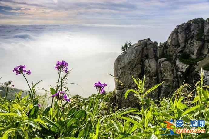 北京怎么去霧靈山，2019端午節去霧靈山好嗎？