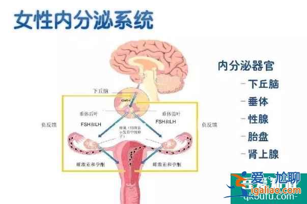 泰國試管嬰兒專家解讀導致IVF失敗的6個常見原因？