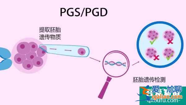 關于試管嬰兒成功率的三個關鍵，保障新生兒健康？