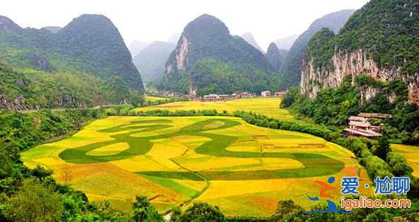 中國賞油菜花地圖，赴一場花田盛宴！？