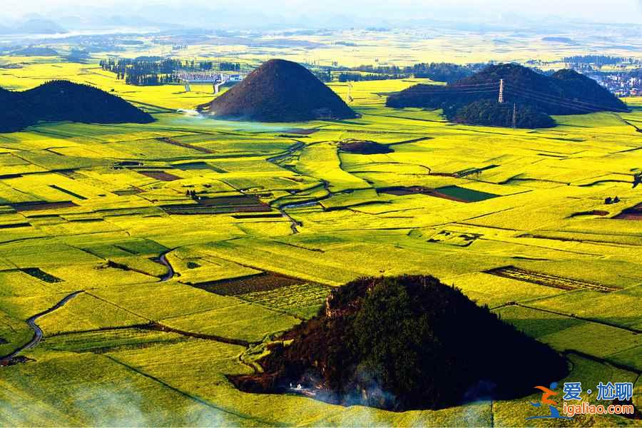 中國賞油菜花地圖，赴一場花田盛宴！？