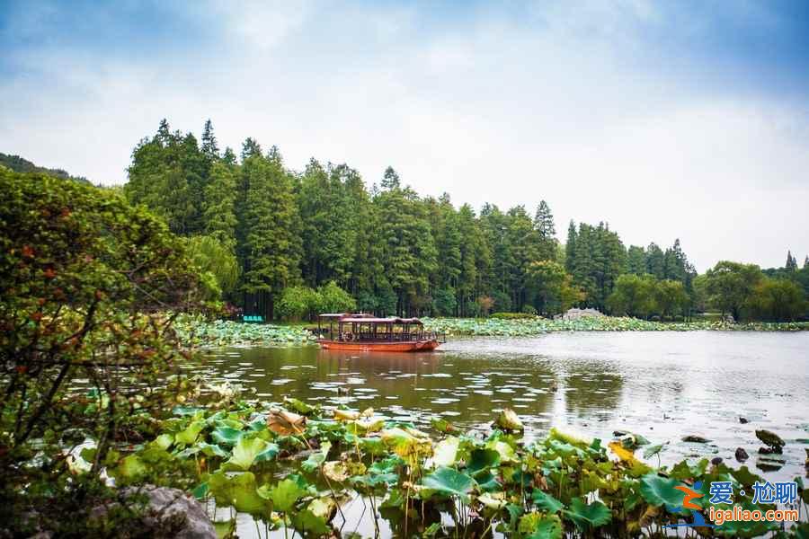 無錫賞花時間表，從春美到冬？