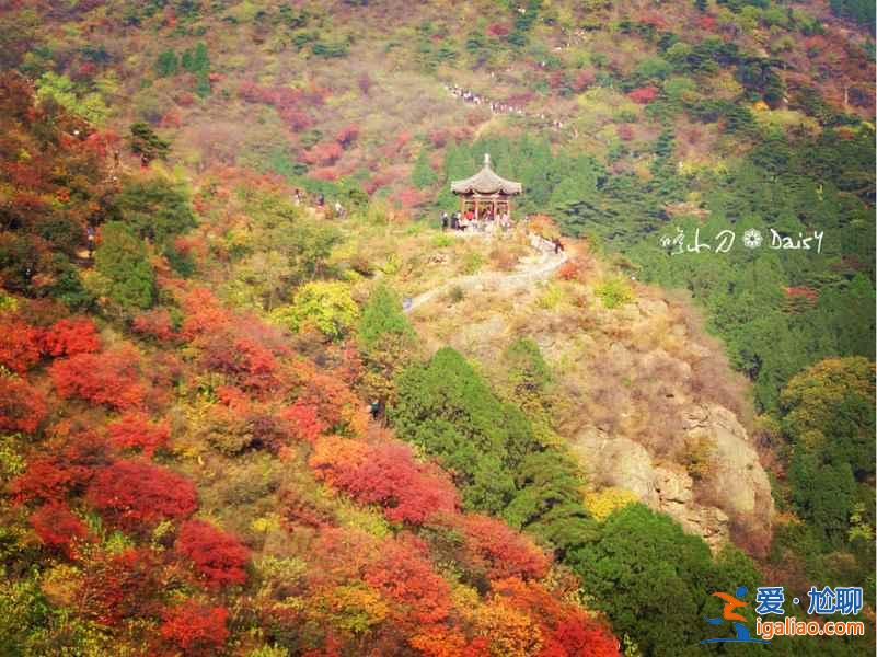 香山紅葉節(jié)幾點下山有公交，爬北京香山需要多久？