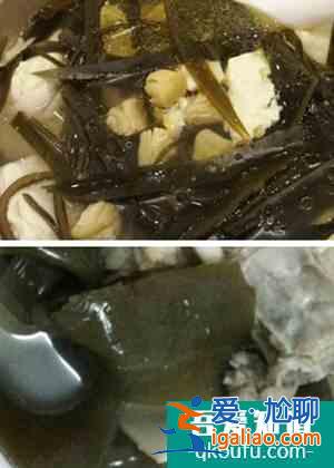 韓式干貝海帶大醬湯 冬季滋陰潤燥美食？