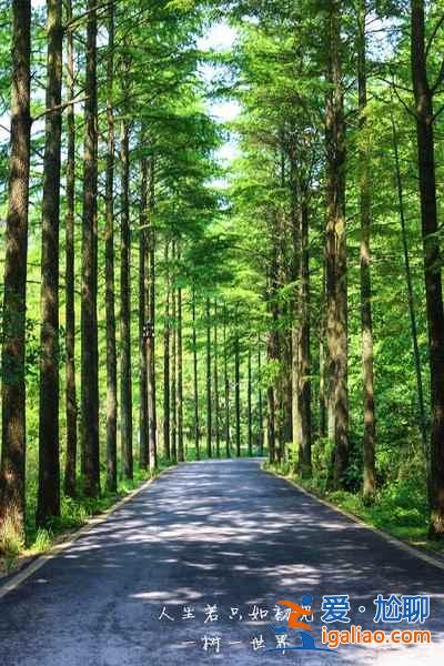 夏天去哪里旅游涼快，夏天去哪里旅游不熱？