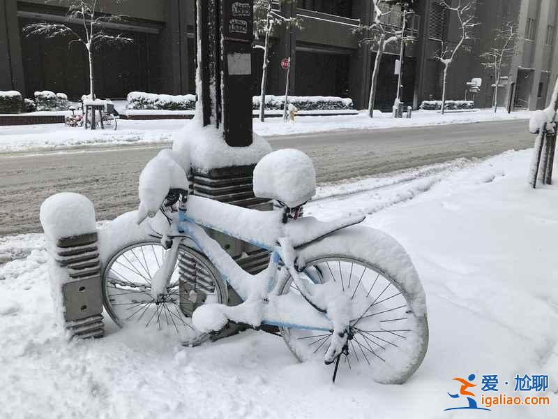 何必苦苦等下雪，去世界上降雪量最大的城市旅行玩雪！？