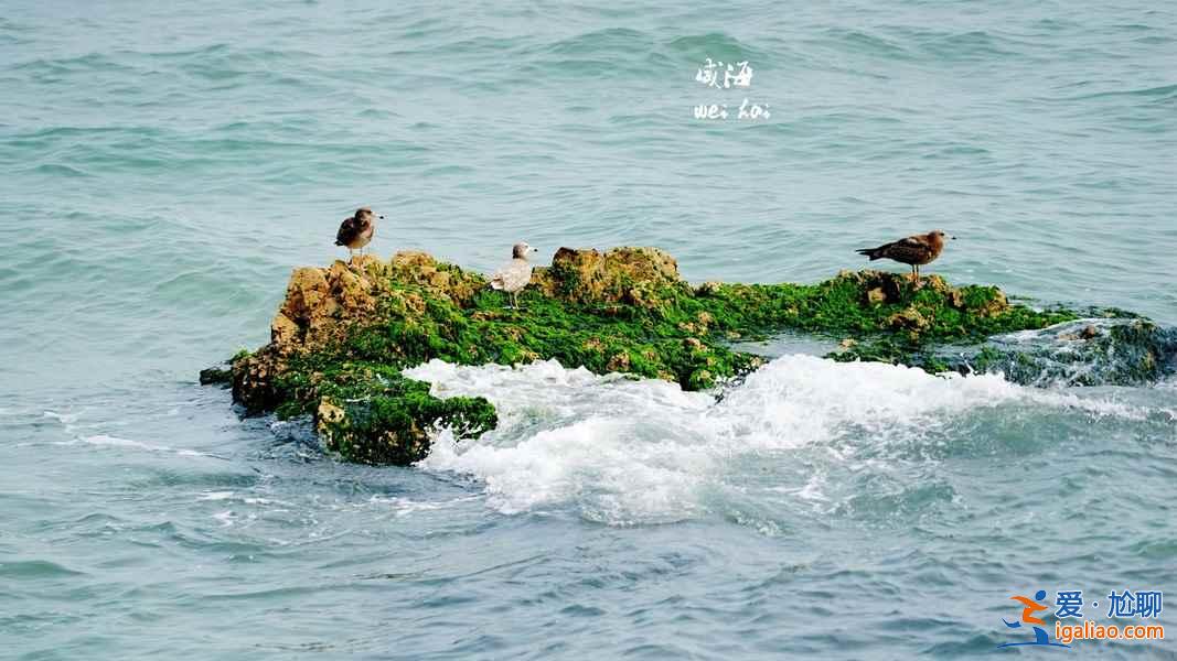 威海去哪看海，威海有什么好玩的地方，威海好玩的景點？