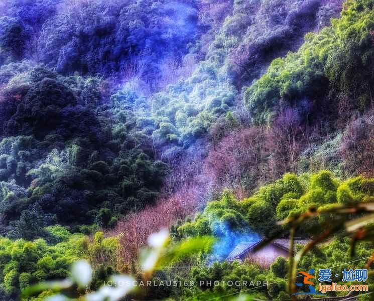 峨眉山有哪些網紅景點，峨眉山網紅景點好玩嗎，峨眉山網紅景點推薦？