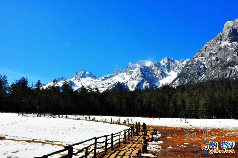 麗江古鎮怎么到玉龍雪山，麗江到玉龍雪山怎么走？