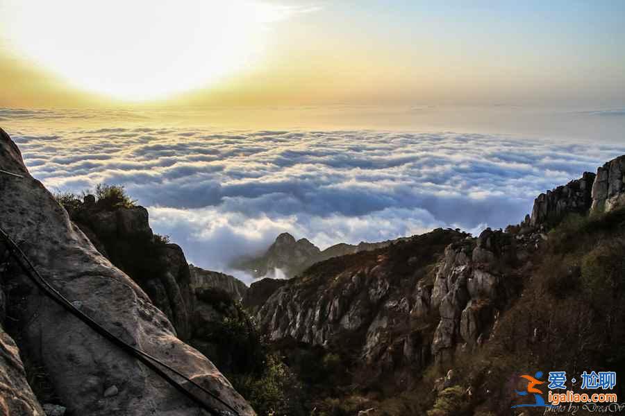 去泰山到哪個火車站下，泰山火車站到泰山怎么走？