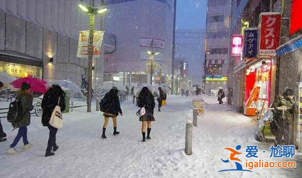 日本女生冬天穿裙子是忍？還是真不冷？？