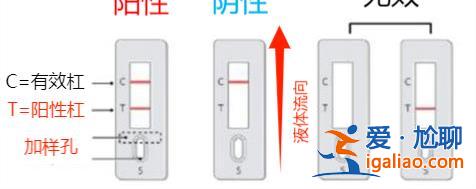 “壕”囤抗原有必要嗎？專家回應？