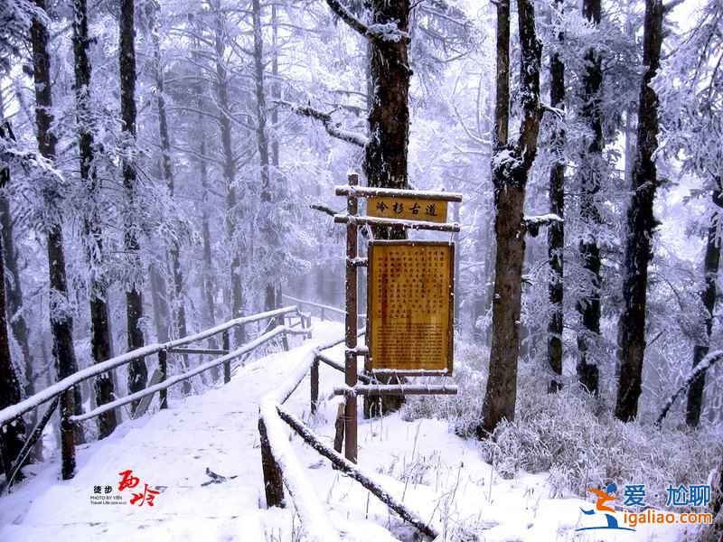 【西嶺雪山門票】西嶺雪山門票多少錢，西嶺雪山門票價格？