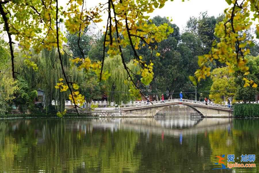 昆明，一個四季都花開不敗的城市花園？