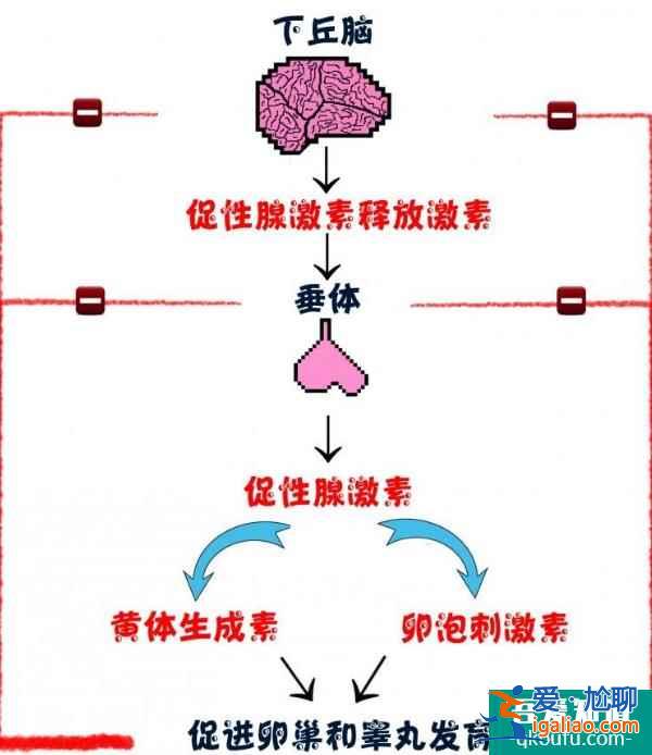 月經不調去做試管嬰兒成功率高嗎？？