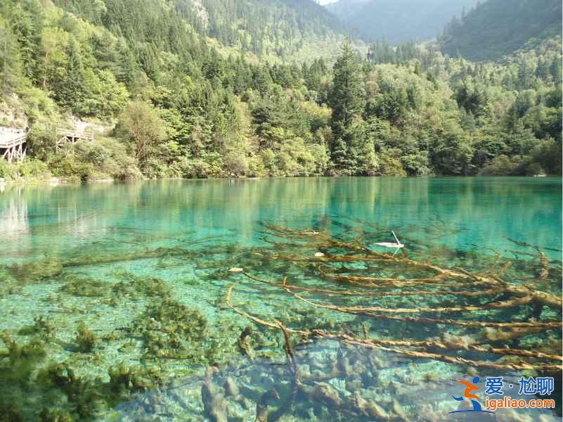 失戀去哪旅游，失戀去哪里旅游？