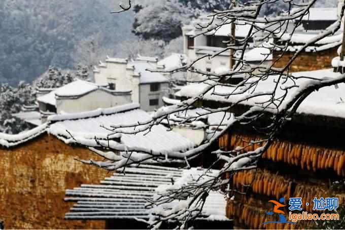 不談油菜花，來看看下雪的婺源有多美！？