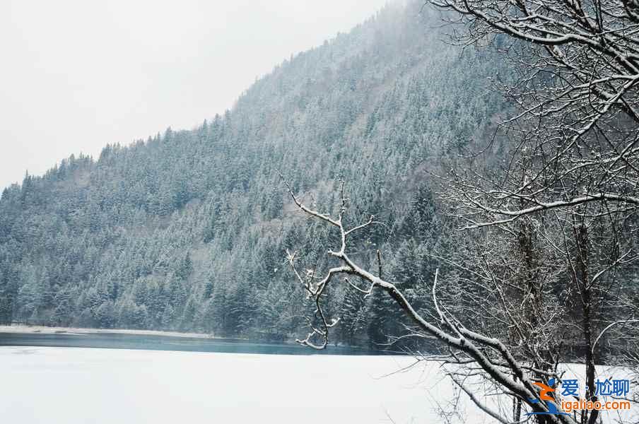 九寨溝雪景什么時間去,九寨溝什么時候下雪？