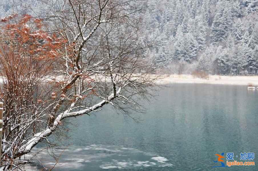 九寨溝雪景什么時間去,九寨溝什么時候下雪？