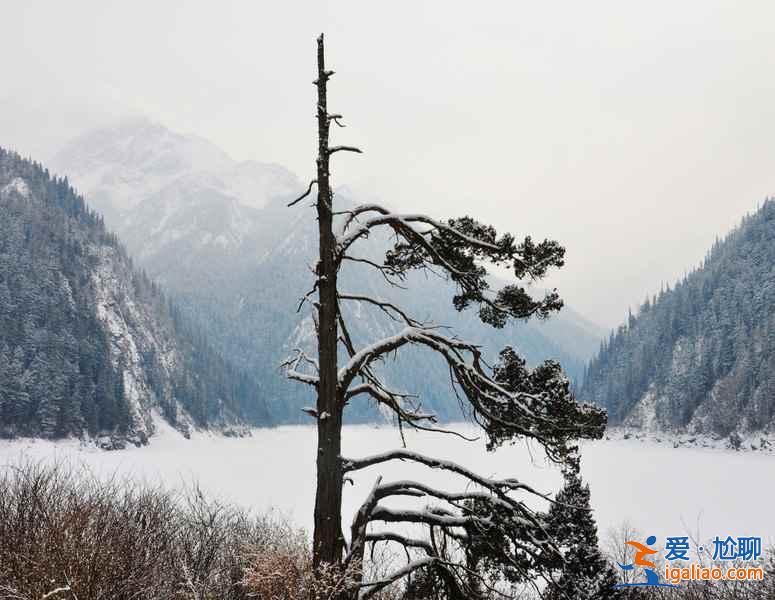 九寨溝雪景什么時間去,九寨溝什么時候下雪？