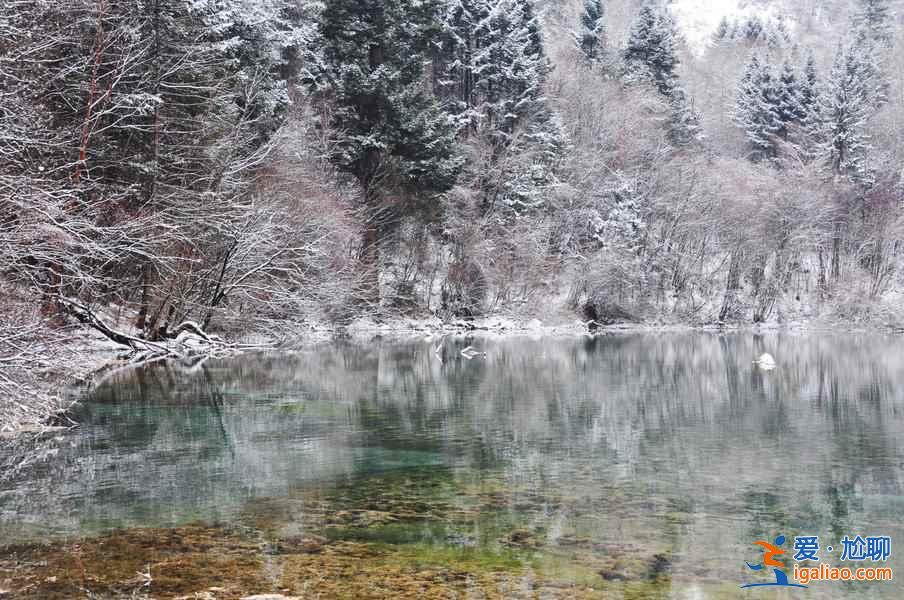 九寨溝雪景什么時間去,九寨溝什么時候下雪？