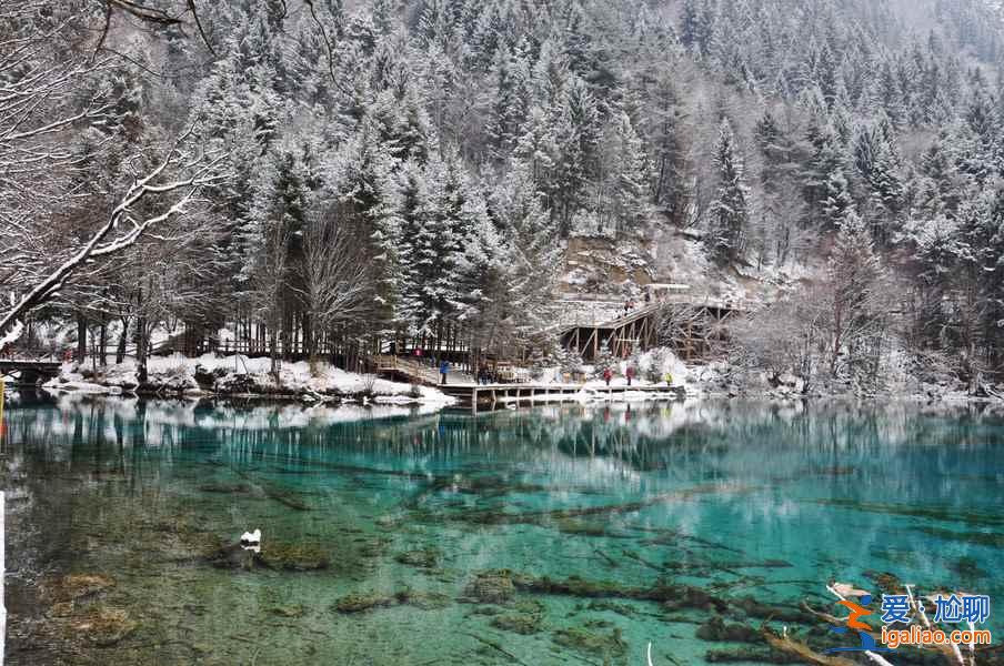 九寨溝雪景什么時間去,九寨溝什么時候下雪？