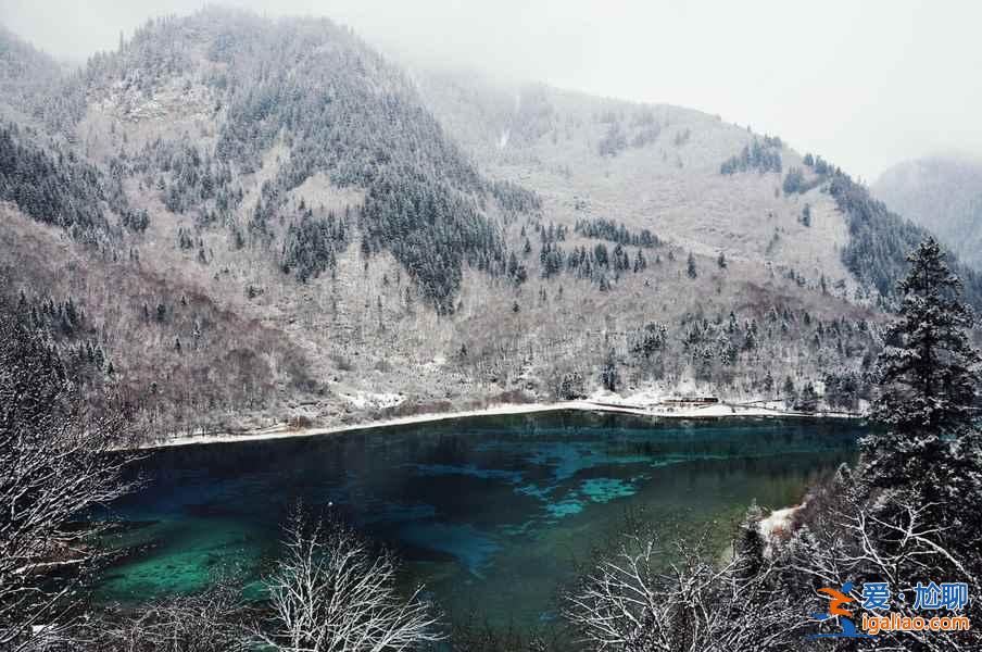 九寨溝雪景什么時間去,九寨溝什么時候下雪？