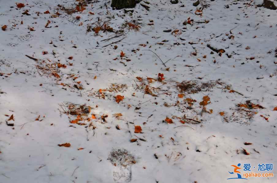 九寨溝雪景什么時間去,九寨溝什么時候下雪？