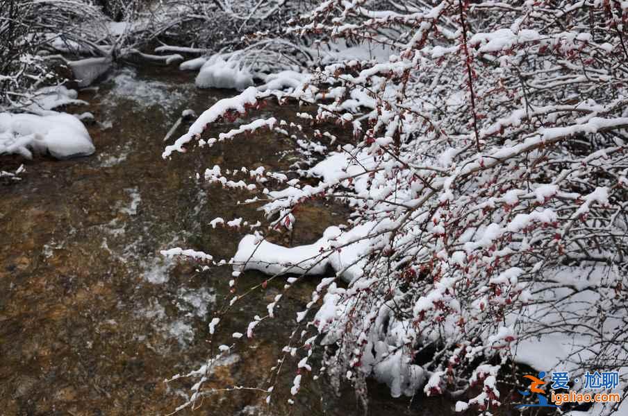 九寨溝雪景什么時間去,九寨溝什么時候下雪？