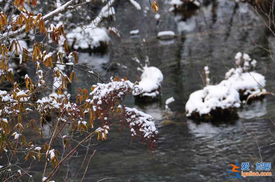 九寨溝雪景什么時間去,九寨溝什么時候下雪？