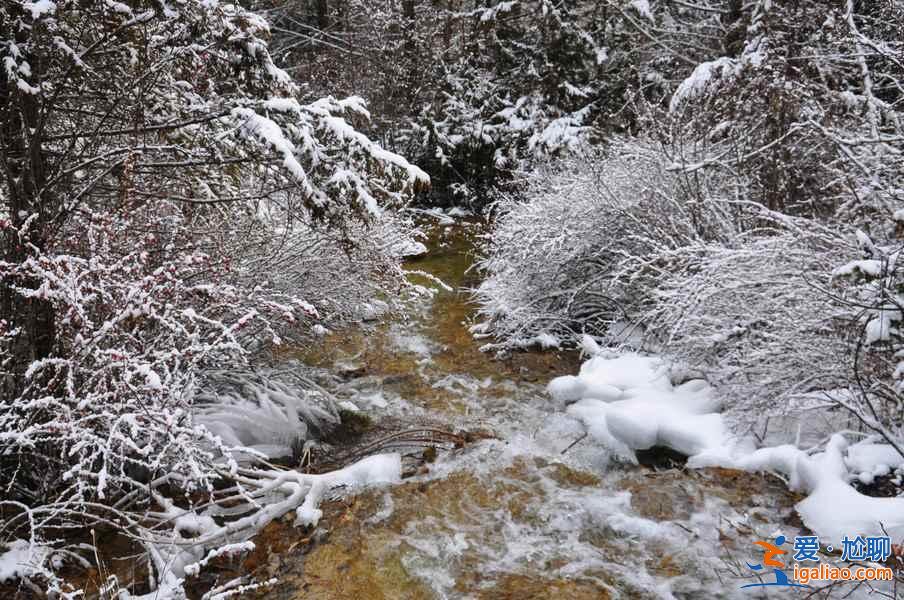 九寨溝雪景什么時間去,九寨溝什么時候下雪？