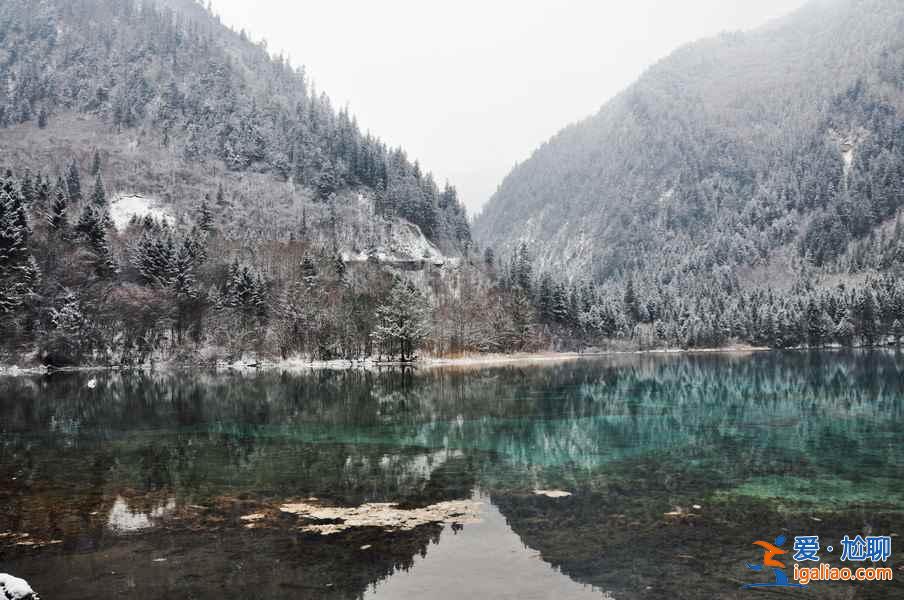 九寨溝雪景什么時間去,九寨溝什么時候下雪？